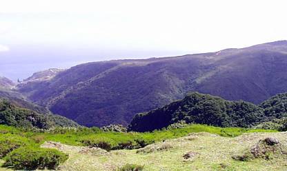 Images from Madeira Island